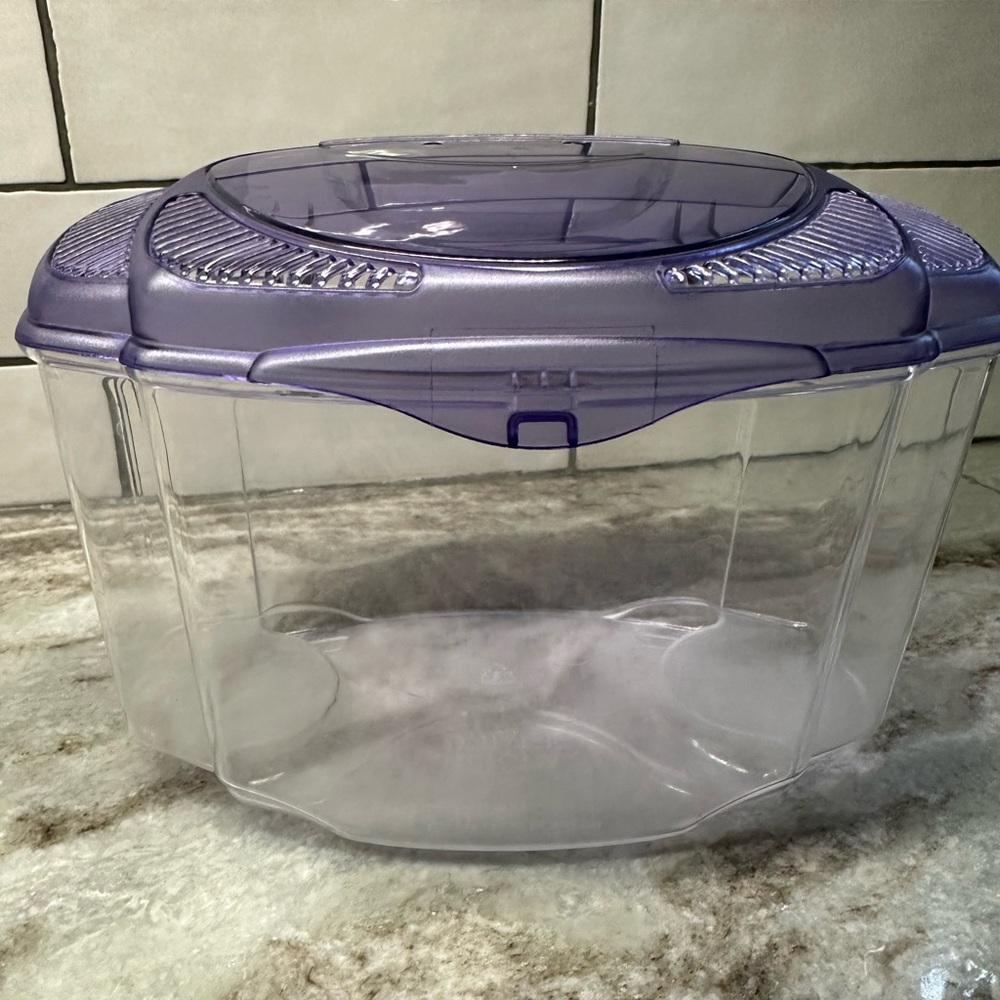 Beta fish tank